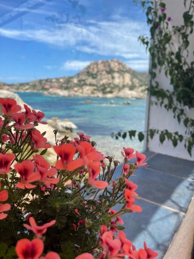 Casa MAC - Villetta bifamiliare a 300 mt da mare Valledoria  Esterno foto