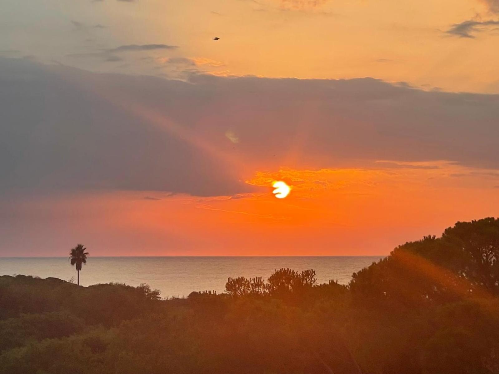 Casa MAC - Villetta bifamiliare a 300 mt da mare Valledoria  Esterno foto